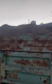 کود میش