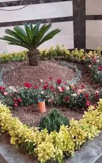 خدمات باغبانی باغچه کاری کاشت گل و گیاه خاک گلدون