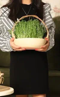 پیراهن بچگانه وارداتی