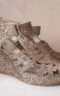 مجلسی