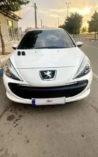 207 پانا 1401