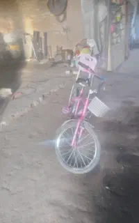 دوجرخه شماره ۲۰