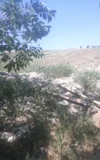 شریک سرمایه گذاربرای احداث پارکینگ