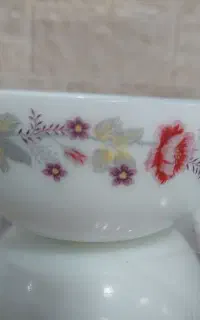 پیاله آرکوپال