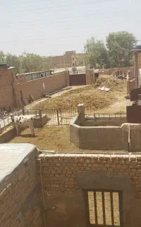 کود گاو اسب گوسفند