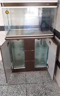 آکواریوم آب شور