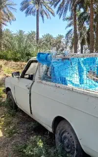 وانت پیکان