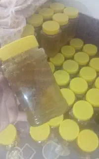 عسل طبیعی