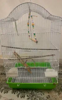 قفس پرنده