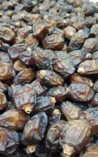 خرما صنعتی