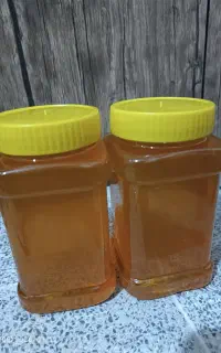 عسل مرغوب و تغذیه ای