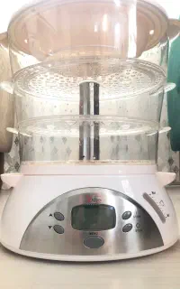 بخار پز