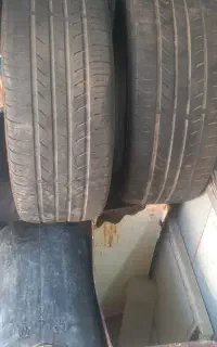 مجسمه لاستیک بارز ۱۴