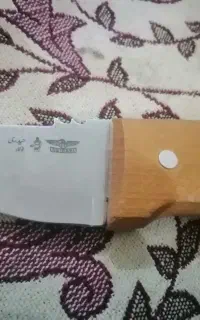 چافو حیدری