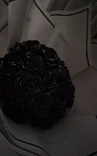 رز جاودان