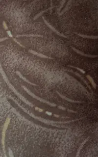 موکت