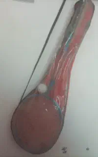 تنیس