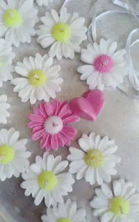 شمع گل بابونه