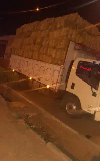 کاه گندم