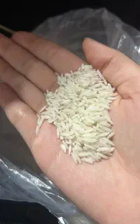 برنج هاشمی