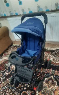 کالسکه نو نو هست شهر اسدیه