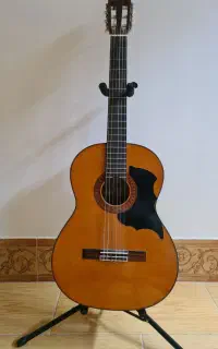 گیتار آریا ای کی 80