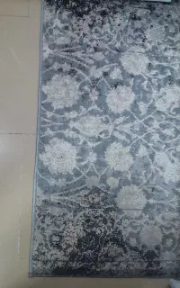 پادری