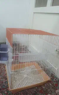 قفس