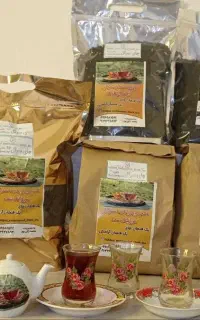 چای لاهیجان