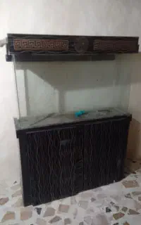 اکواریوم