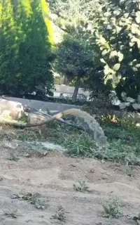 حفاری چاه آب