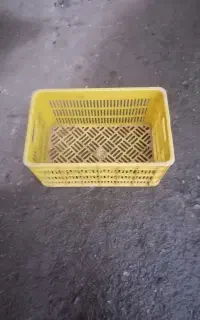 سبد بزرگ میوه