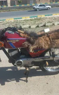 کاوازاکی جی توGTU