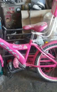 دوچرخه