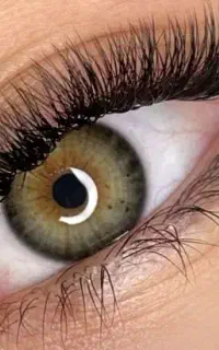 تخفیف اکستنشن مژه و لیفتو لمنیت مژه و ابرو