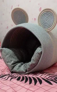 جای خواب گربه