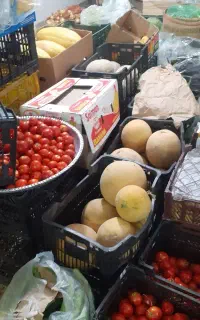 استخدام کارگر در میوه فروشی