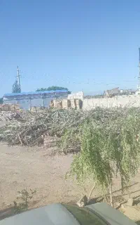 خرید انواع ضایعات چوب
