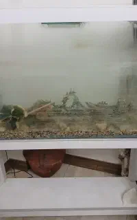 اکواریوم