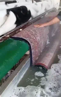 قالیشویی۲۱۰۰به۱۸۰۰برتر
