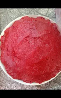 رب خانگی