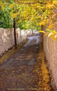 تور گردشگری ، یزدگردی