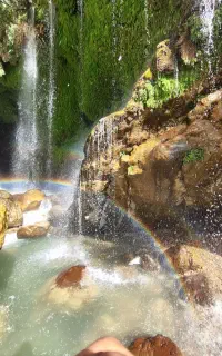 طبیعت گردی کوهنوردی پیاده روی