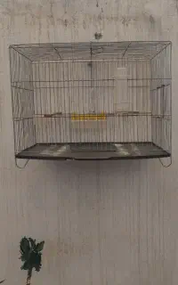قفس