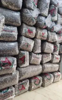 تخمه کانادایی  وتخمه کله قوچی