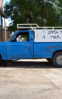 وانت