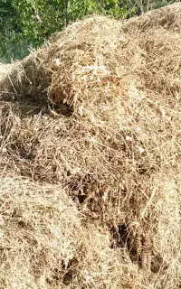 ۶۰۰ باغ یونجه