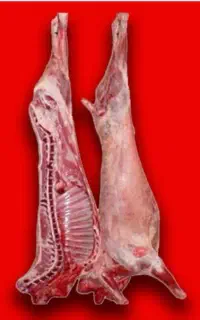 فروش گوشت(۹۹۸ه ت)  تعاونی روستائی  ارزان( کالابرگ)