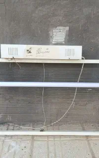 مگس کش
