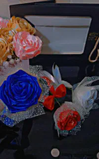 گل ربانی و پول آرایی